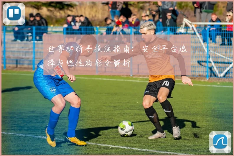 世界杯新手投注指南：安全平台选择与理性购彩全解析